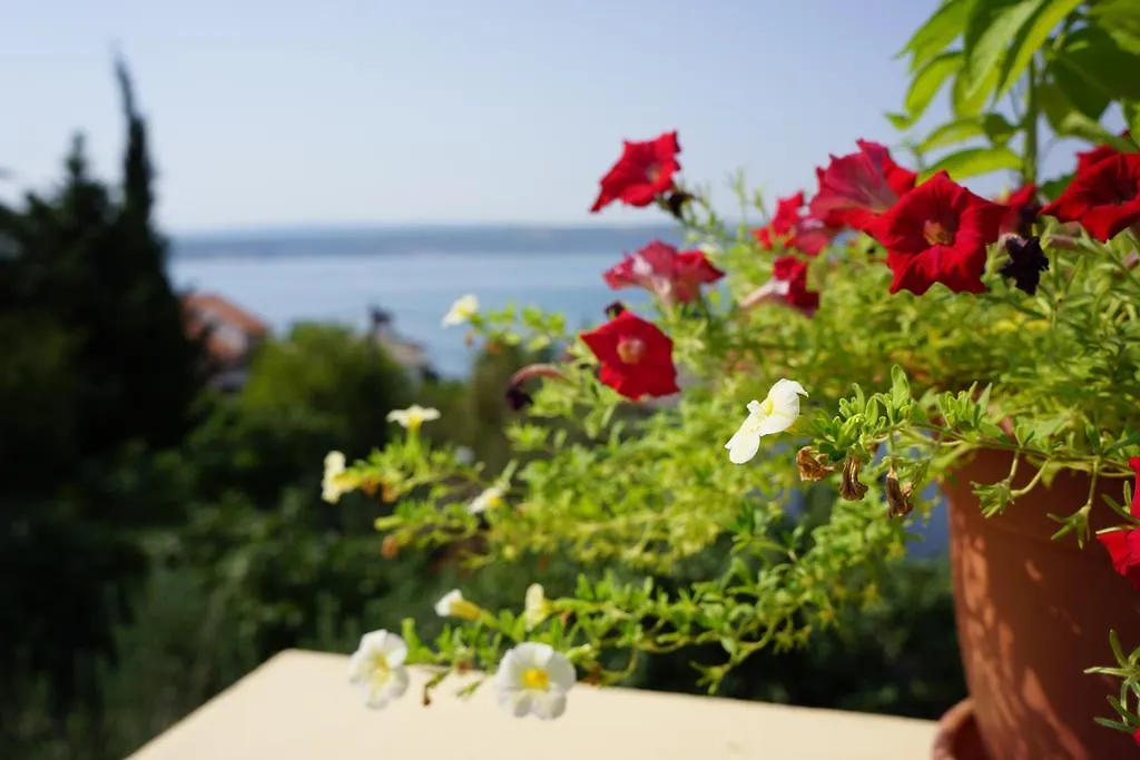 Haus Josipa Bed & Breakfast Maslenica